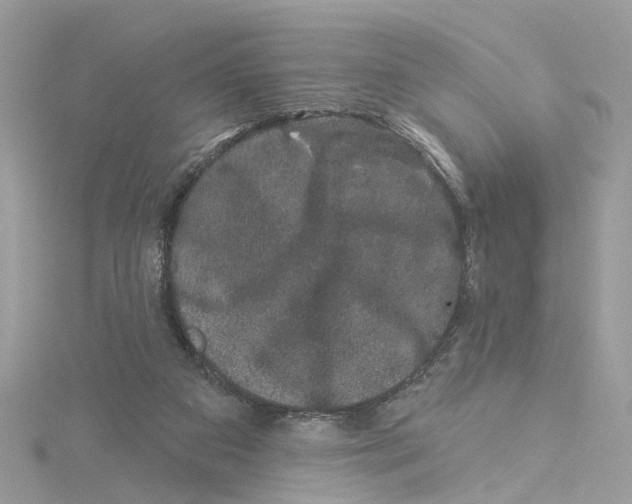 X0000114490113200911161221