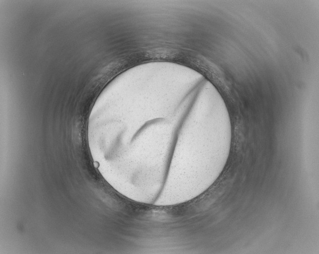 X0000114490114200911161221