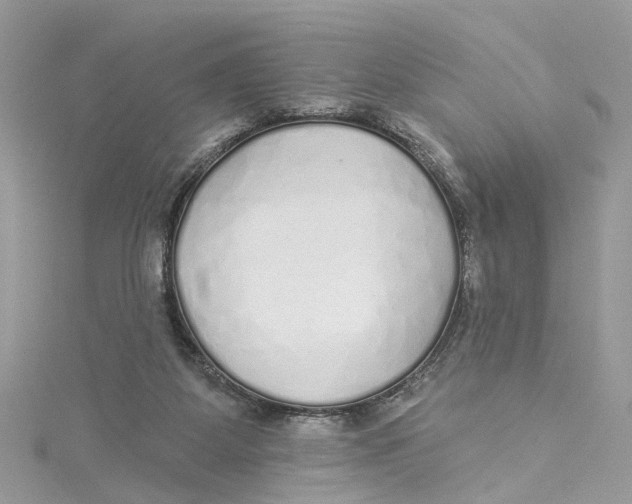 X0000114490115200911161221