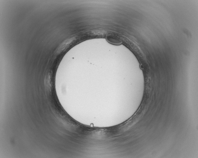 X0000114490116200911161221