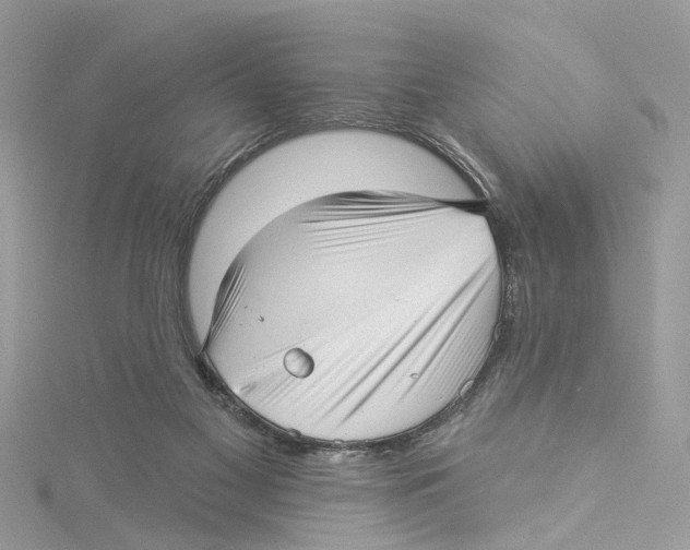 X0000114490117200911161221