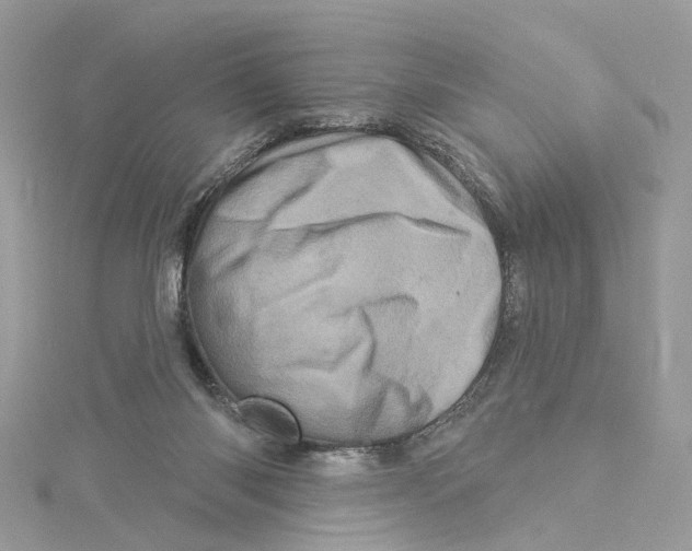 X0000114490118200911161221