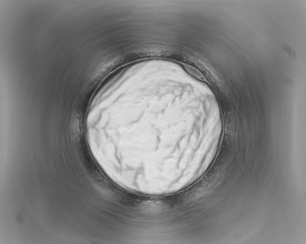 X0000114490119200911161221