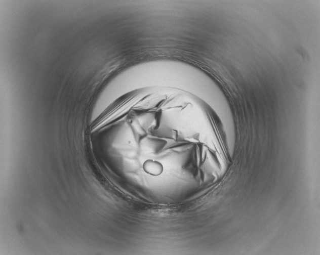 X0000114490120200911161221