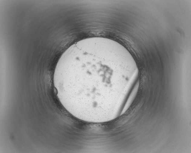 X0000114490121200911161221