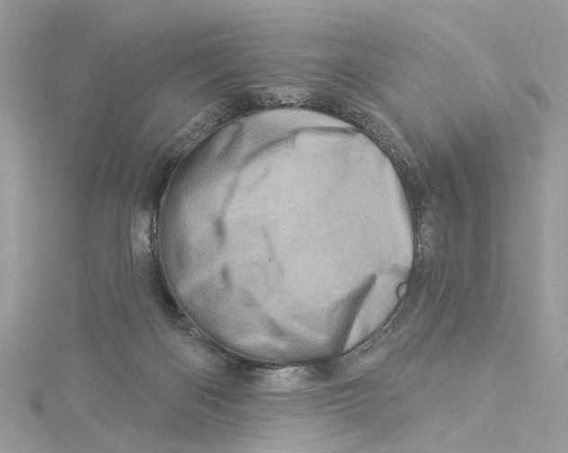 X0000114490122200911161221