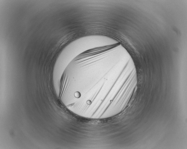 X0000114490124200911161221