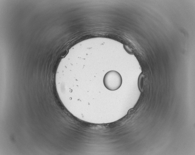 X0000114490125200911161221