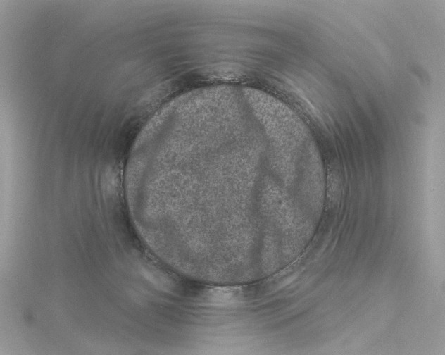 X0000114490126200911161221