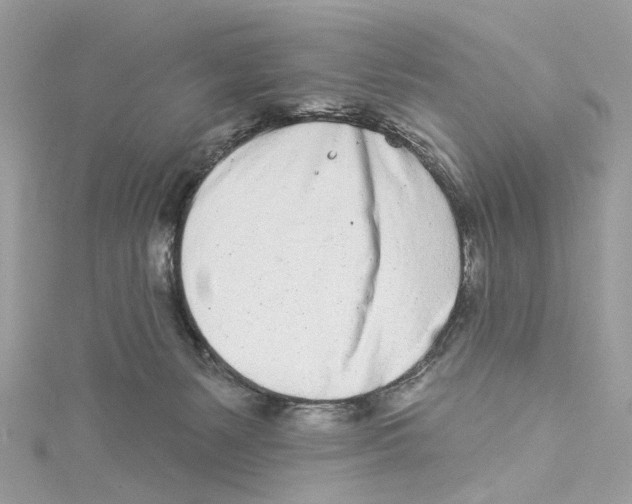 X0000114490127200911161221