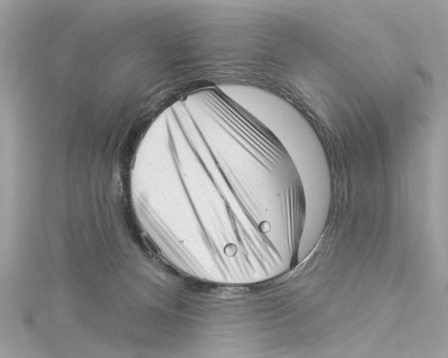 X0000114490128200911161221