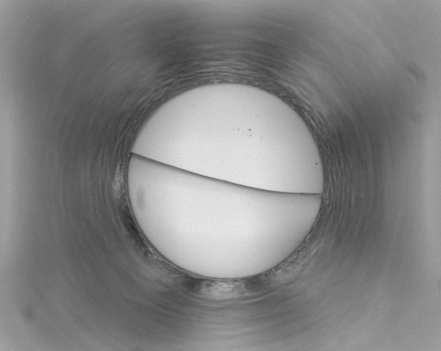 X0000114490129200911161221