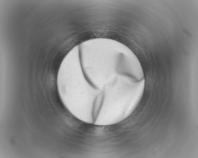 X0000114490130200911161221