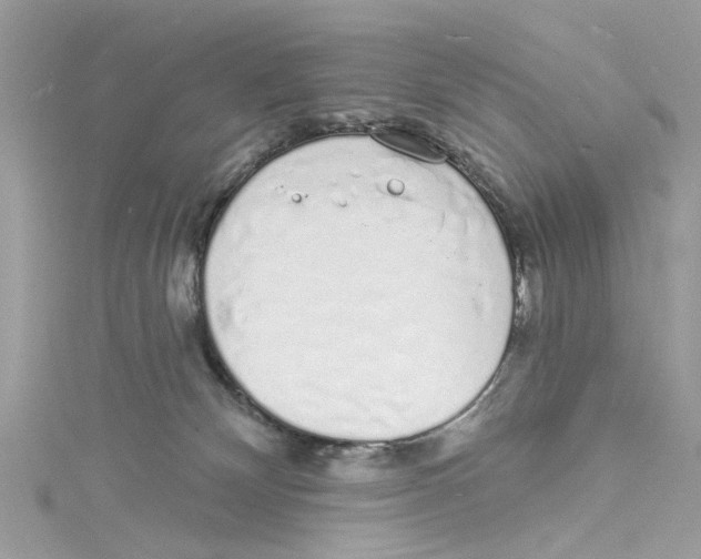 X0000114490132200911161221