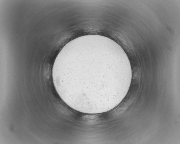 X0000114490133200911161221