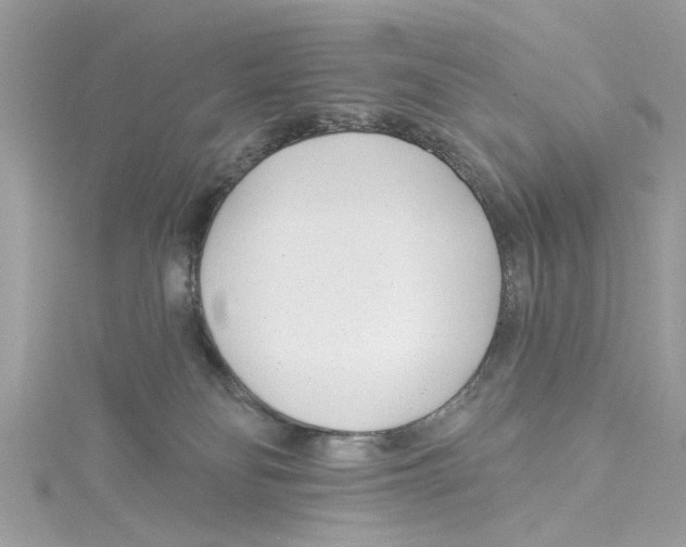 X0000114490134200911161221