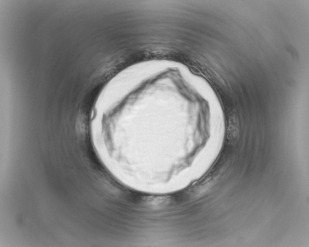 X0000114490135200911161221