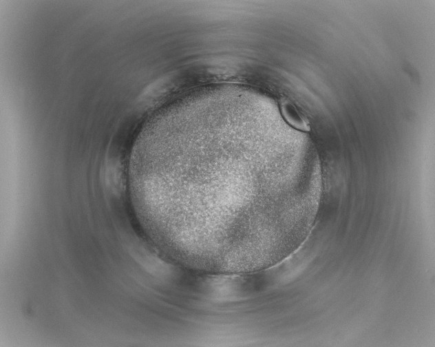 X0000114490136200911161221