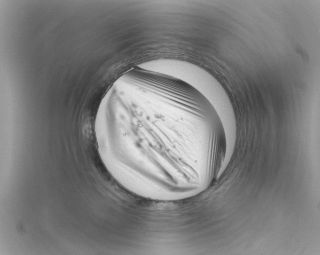 X0000114490137200911161221