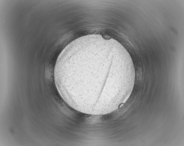 X0000114490138200911161221