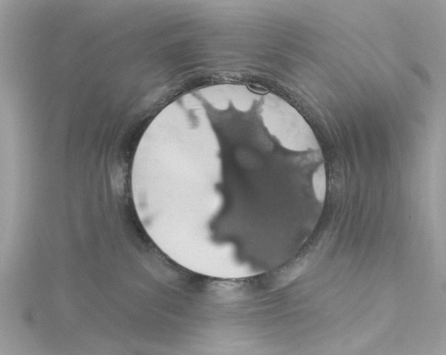 X0000114490139200911161221