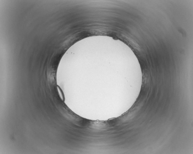 X0000114490141200911161221