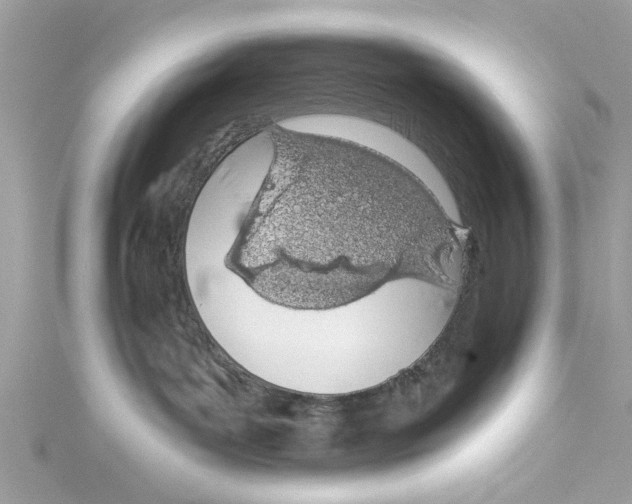 X0000114490143200911161221