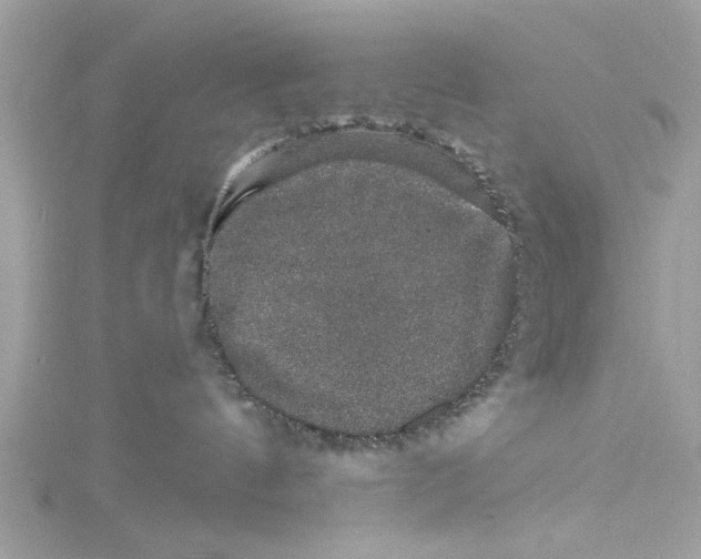 X0000114490144200911161221