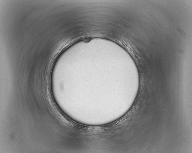 X0000114490145200911161220