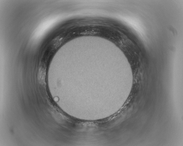 X0000114490146200911161220