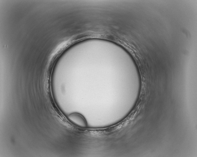 X0000114490149200911161220