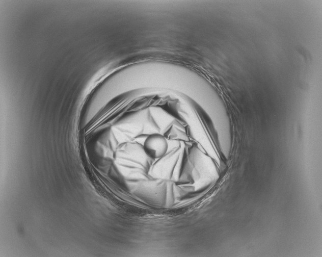 X0000114490150200911161220