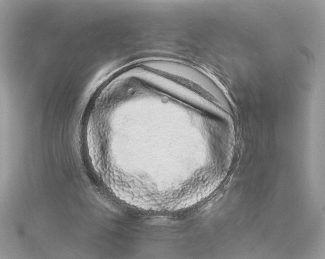 X0000114490151200911161220