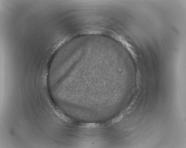 X0000114490153200911161220