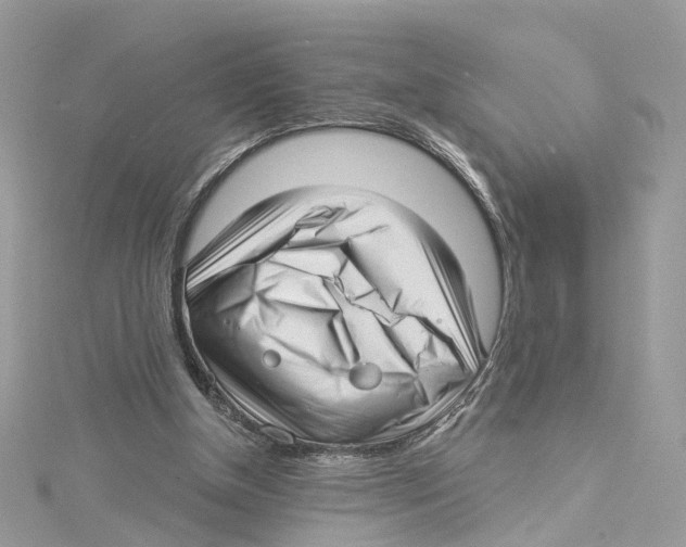 X0000114490154200911161220