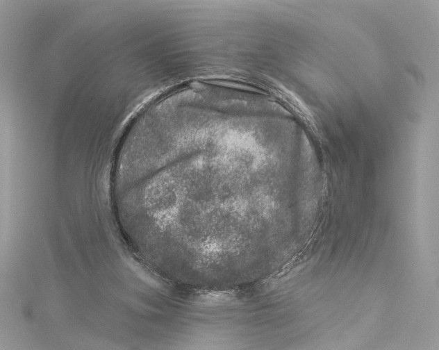 X0000114490155200911161220