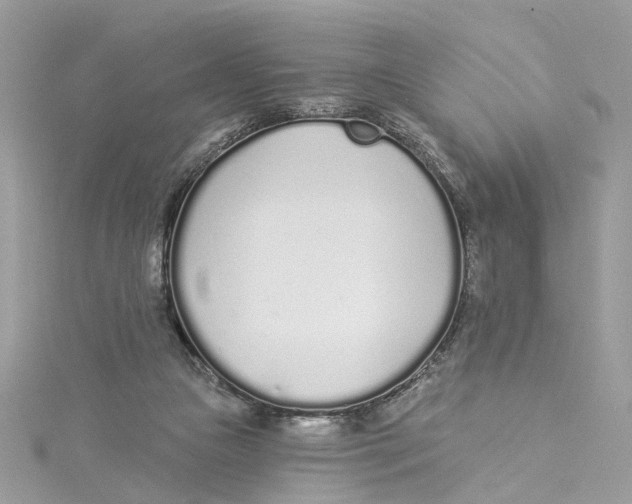 X0000114490161200911161220