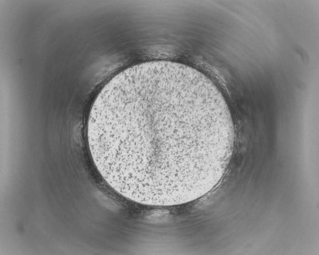 X0000114490162200911161220