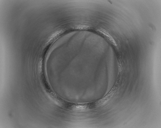 X0000114490163200911161220