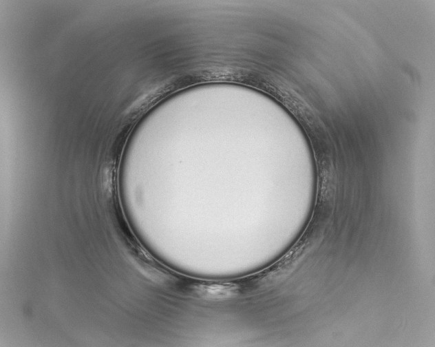 X0000114490165200911161220