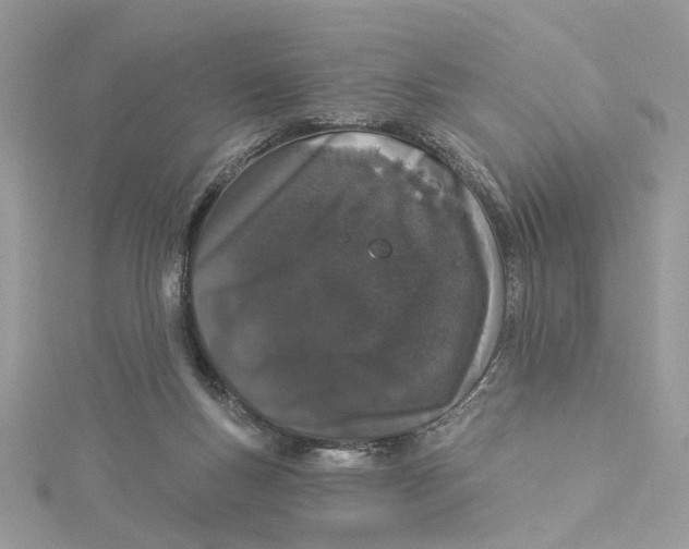 X0000114490167200911161220