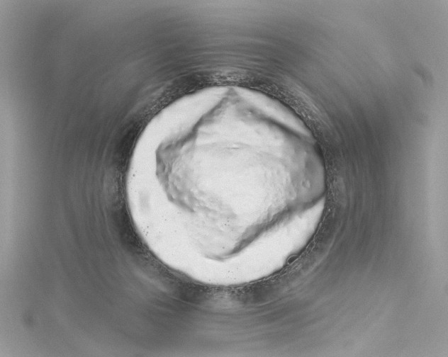 X0000114490169200911161220