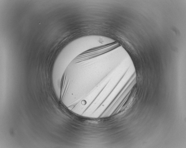 X0000114490170200911161220