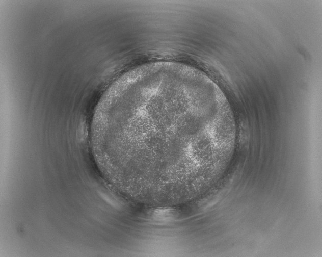 X0000114490173200911161220