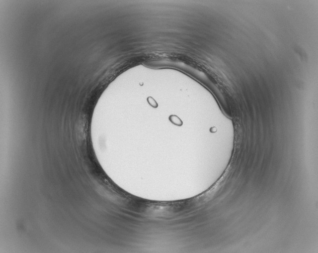 X0000114490174200911161220