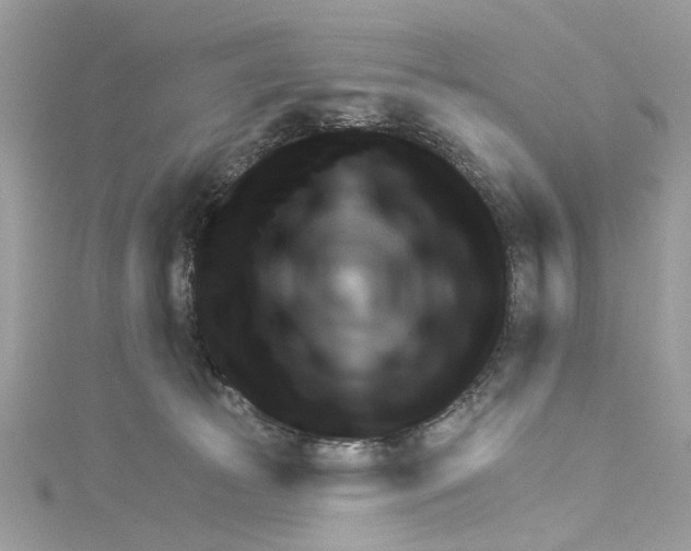 X0000114490177200911161220