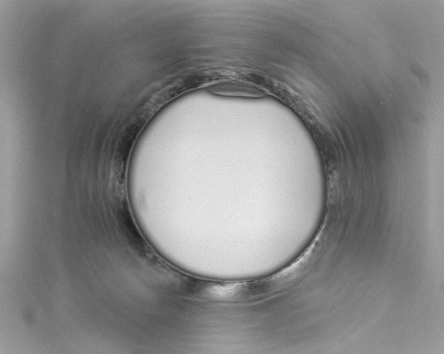 X0000114490178200911161220