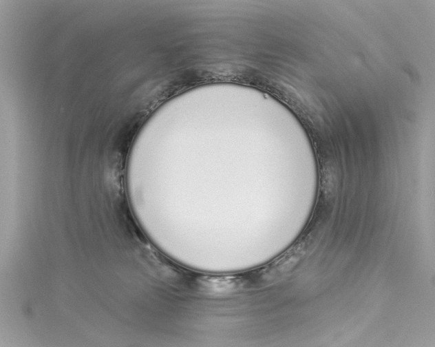 X0000114490181200911161220