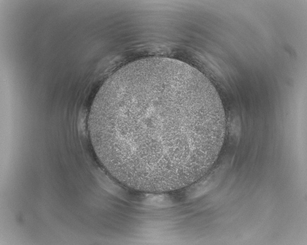 X0000114490185200911161220