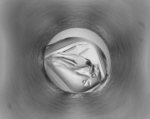 X0000114490186200911161220